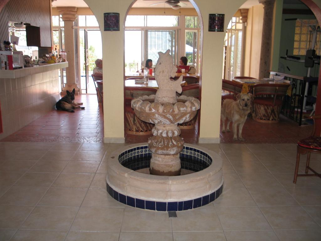 La Puerta Violeta Guesthouse & Spa San Juan Cosalá Εξωτερικό φωτογραφία